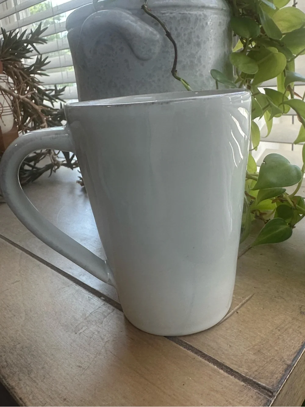 Crate & Barrel Chunky Handled Antiqued Mug